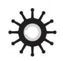 ONAN PUMP - G1010