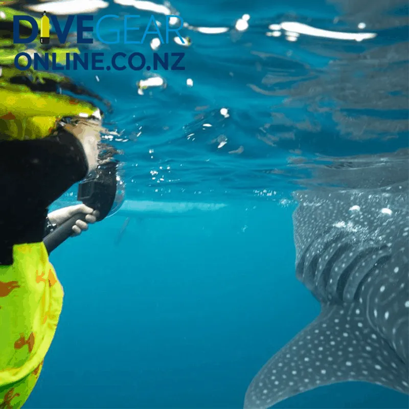 Polar Pro Fifty Fifty Dome for Go Pro