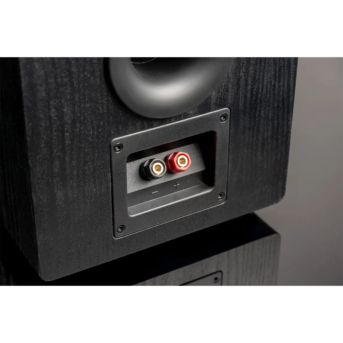 SVS Prime Pinnacle Speaker